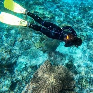 Meet your Posher, Cybill